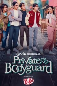 Private Bodyguard (Guarda-costas particular) Todos os Episodios