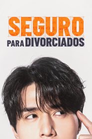 Seguro para Divorciados (The Divorce Insurance) Todos os Episodios
