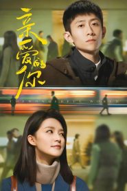 O Mundo Maravilhoso (The Wonderful World) Todos os Episodios