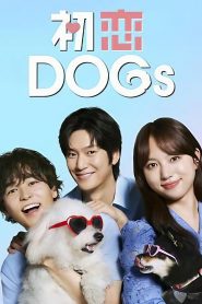 Amor é para os cães (Love is for the DOGs) Todos os Episodios