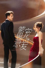 Conspiração do Amor (Love Conspiracy) Todos os Episodios