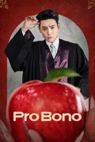 Pro Bono Todos os Episodios